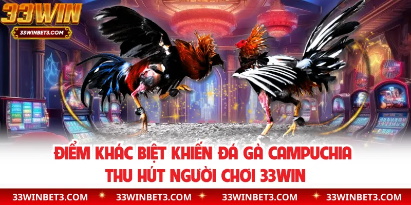 Điểm khác biệt khiến đá gà Campuchia thu hút người chơi 33WIN